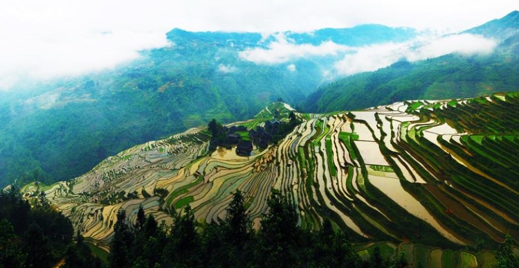 黔是哪里的简称