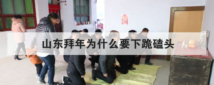 山东拜年为什么要下跪磕头