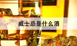 威士忌是什么酒