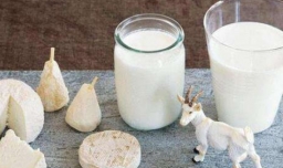 全国十大羊奶粉排行榜