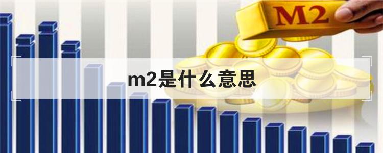 m2是什么意思