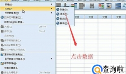 如何在SPSS软件中进行单样本K-S检验