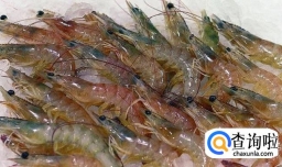 韩式吮指虾鸡怎么做