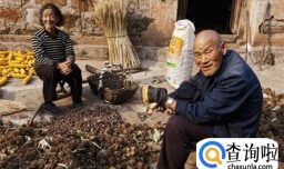 农村老人最需要的是什么