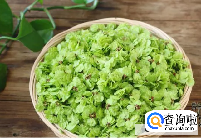 如何储藏新鲜榆钱