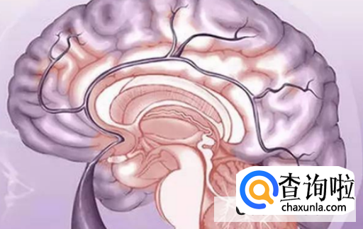 脑梗塞有哪些前兆