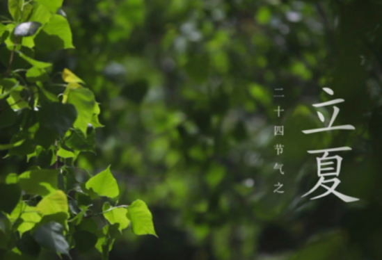 立夏和夏至有什么区别