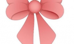 简单好看的蝴蝶结系法