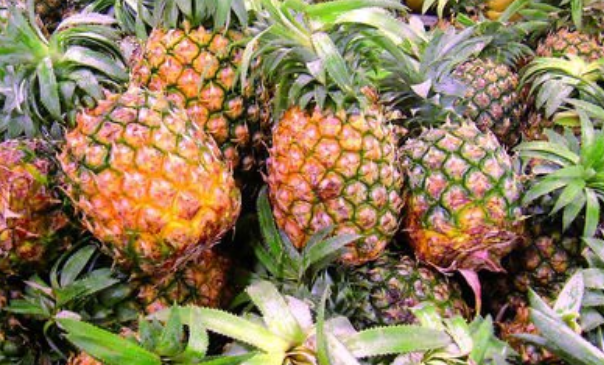 越吃越瘦的10种水果