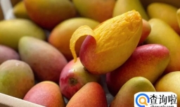 2023清明节放假调休几天