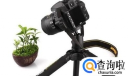 使用单反相机的几种姿势