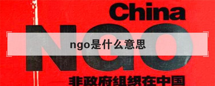 ngo是什么意思