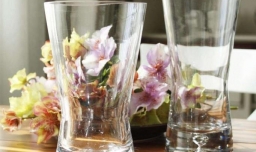 怎样让玫瑰花不枯萎？