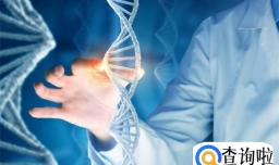 做一个基因检测大约多少钱