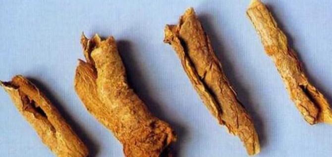 茯苓皮的功效与作用