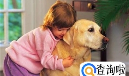 对狗过敏的主要症状及应对措施