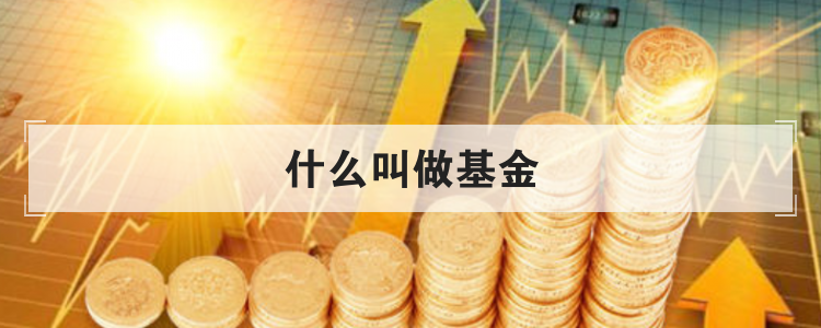 什么叫做基金