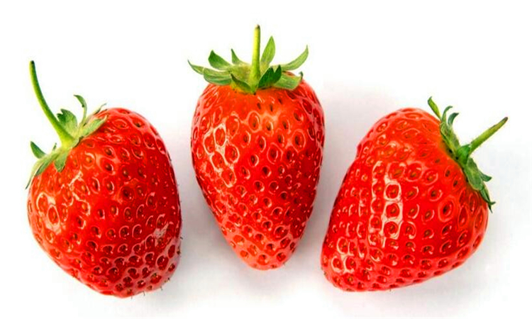 草莓是什么季节的水果