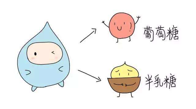 乳糖是不是还原糖