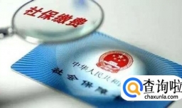 如何在网上下载已盖章的个人社保证明