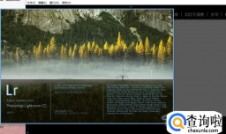 Lightroom如何导入预设