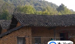 农村干什么赚钱？年轻人回农村做什么挣钱？