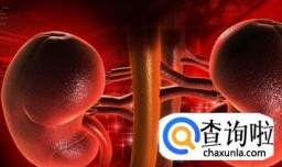 肾衰竭常见的治疗误区有哪些