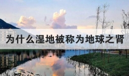为什么湿地被称为地球之肾