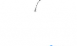 素描从零基础学起：水果篇——梨的画法