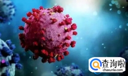 又吐又拉是甲流还是诺如病毒感染