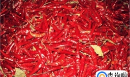 高中生上课打瞌睡怎么办？