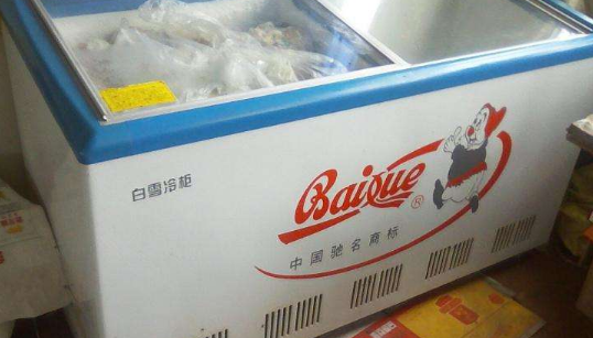 冰柜排行榜前十名家用