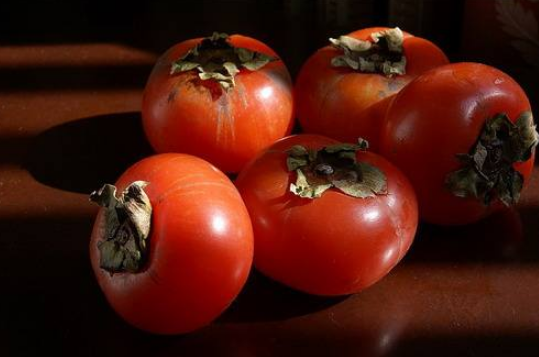 柿子不能和什么一起吃