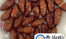 东北蚕蛹能在海南放生吗