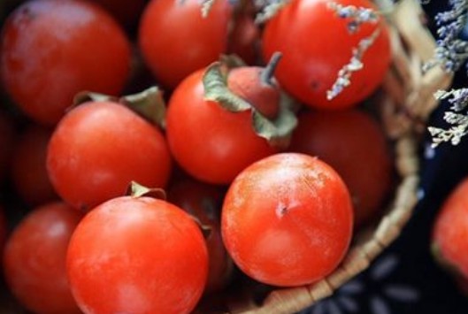 柿子的功效与作用