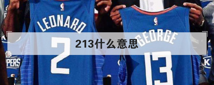 213什么意思