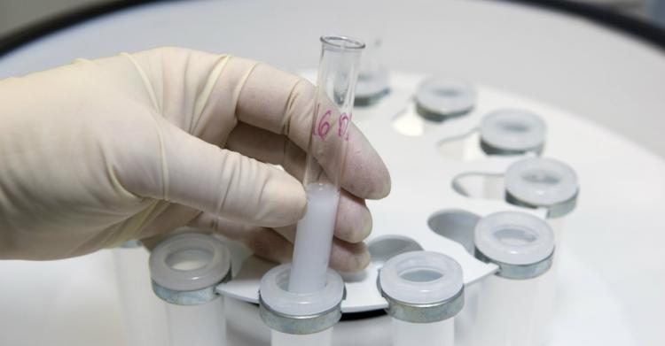 冻卵是什么意思啊