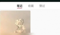 小红书收藏合集公开与否如何设置