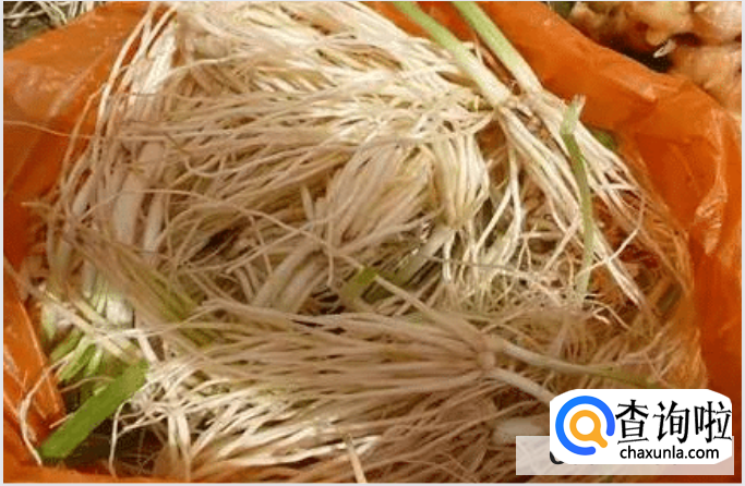 苤菜根的营养和禁忌