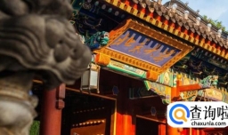 怎样填报高考志愿？