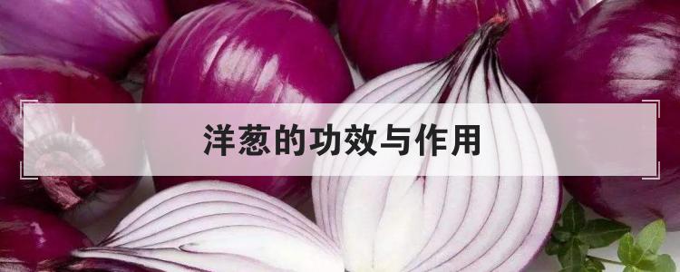 洋葱的功效与作用
