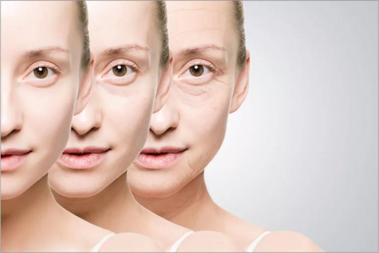 抗氧化是什么意思