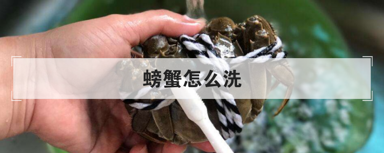 螃蟹怎么洗