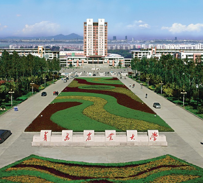 独立学院是什么意思