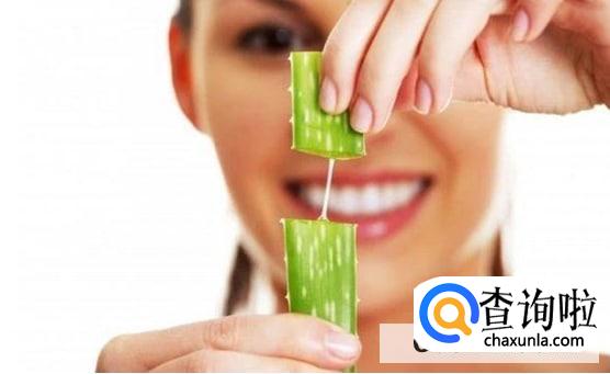 生活中怎么用芦荟保养皮肤