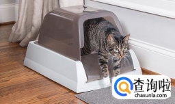 猫砂盆放哪里比较好？