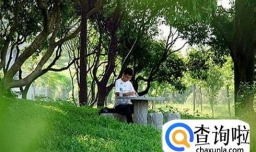 如何提高自己的学习效率。