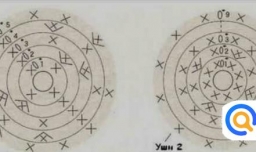 怎样织一个动物套杯