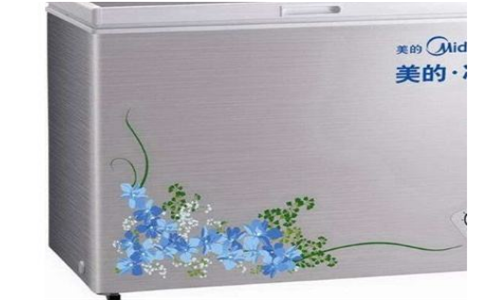 冰柜排行榜前十名家用
