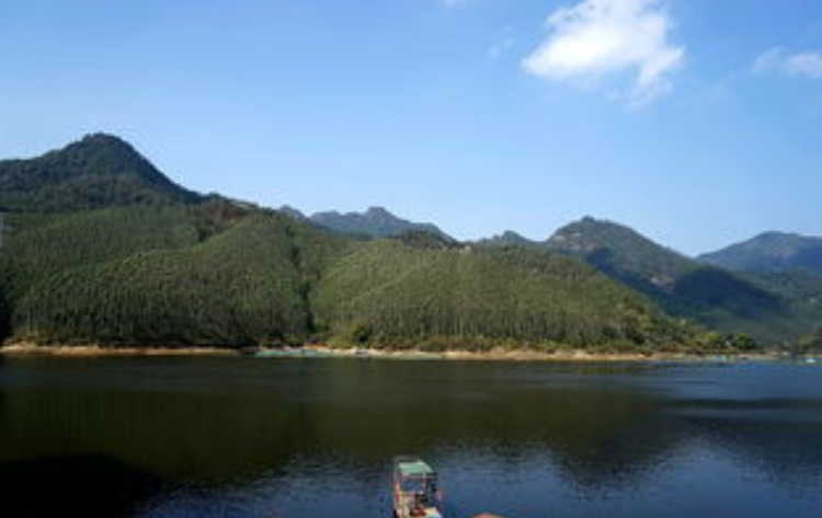 forest是什么意思